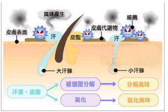 病因